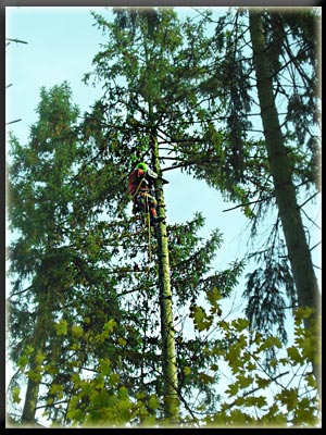 Vergrößertes Bild in neuem Fenster. "klicken"