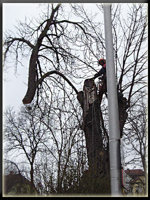 Vergrößertes Bild in neuem Fenster. "klicken"