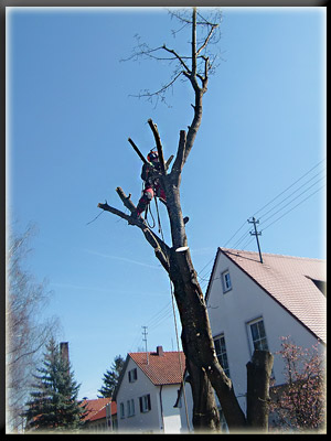 Vergrößertes Bild in neuem Fenster. "klicken"