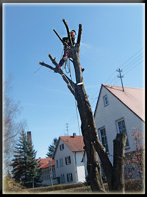 Vergrößertes Bild in neuem Fenster. "klicken"