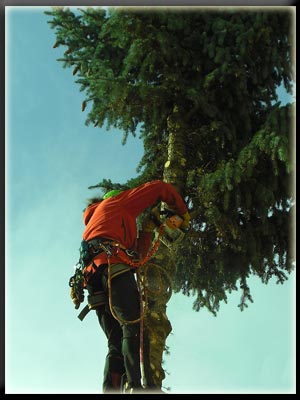 Vergrößertes Bild in neuem Fenster. "klicken"