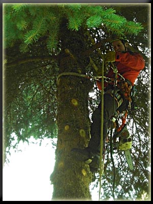 Vergrößertes Bild in neuem Fenster. "klicken"