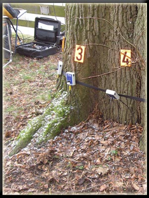 Vergrößertes Bild in neuem Fenster. "klicken"