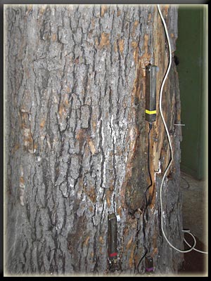 Vergrößertes Bild in neuem Fenster. "klicken"