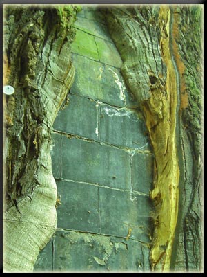 Vergrößertes Bild in neuem Fenster. "klicken"