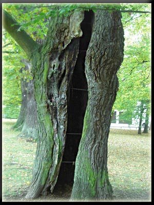 Vergrößertes Bild in neuem Fenster. "klicken"
