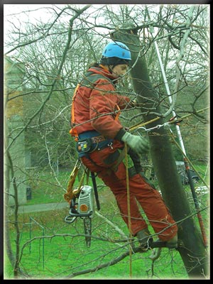 Vergrößertes Bild in neuem Fenster. "klicken"