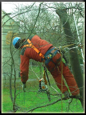 Vergrößertes Bild in neuem Fenster. "klicken"