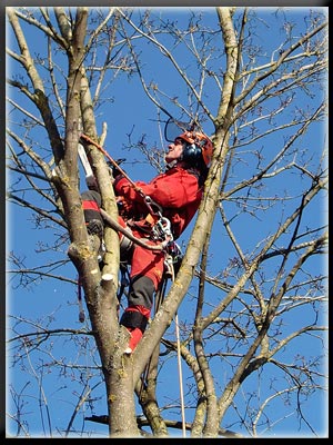 Vergrößertes Bild in neuem Fenster. "klicken"