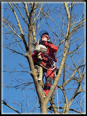 Vergrößertes Bild in neuem Fenster. "klicken"