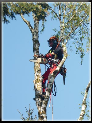 Vergrößertes Bild in neuem Fenster. "klicken"