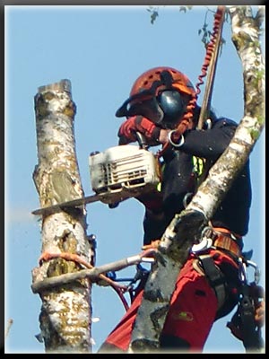 Vergrößertes Bild in neuem Fenster. "klicken"