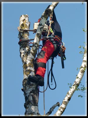 Vergrößertes Bild in neuem Fenster. "klicken"