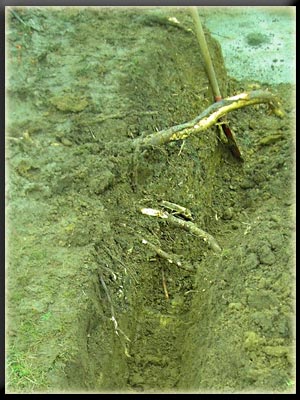 Vergrößertes Bild in neuem Fenster. "klicken"