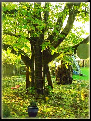 Vergrößertes Bild in neuem Fenster. "klicken"