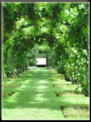 Vergrößertes Bild in neuem Fenster. "klicken" by_Sara-Jungnickel_pixelio.de