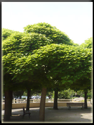 Vergrößertes Bild in neuem Fenster. "klicken" by_siepmannH_pixelio.de