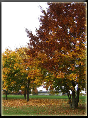 Vergrößertes Bild in neuem Fenster. "klicken" by_Rainer Sturm_pixelio.de