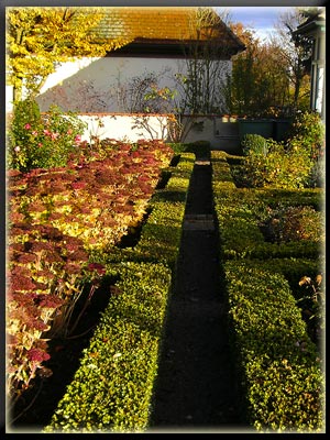 Vergrößertes Bild in neuem Fenster. "klicken" by_Sara-Jungnickel_pixelio.de