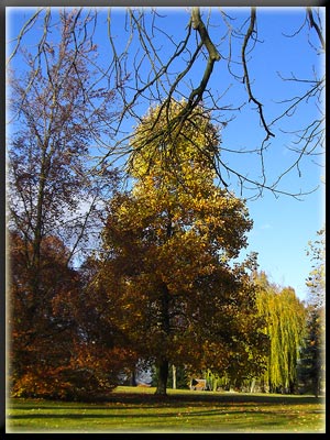 Vergrößertes Bild in neuem Fenster. "klicken" by_siepmannH_pixelio.de