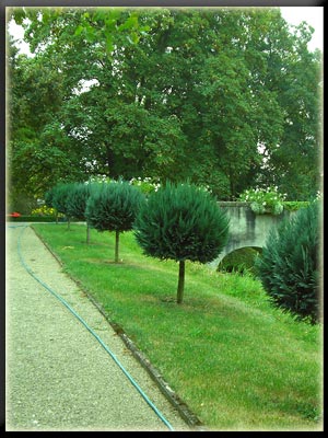 Vergrößertes Bild in neuem Fenster. "klicken" by_Bettina-Stolze_pixelio.de