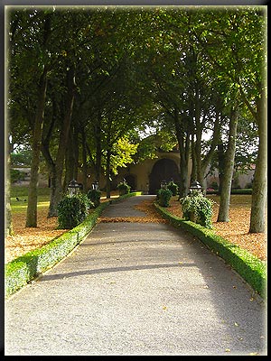 Vergrößertes Bild in neuem Fenster. "klicken" by_Rainer Sturm_pixelio.de