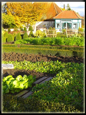 Vergrößertes Bild in neuem Fenster. "klicken" by_Sara-Jungnickel_pixelio.de