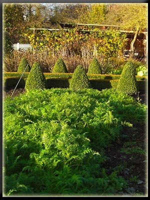Vergrößertes Bild in neuem Fenster. "klicken" by_siepmannH_pixelio.de