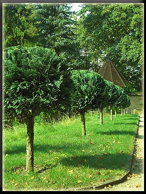 Vergrößertes Bild in neuem Fenster. "klicken" by_Rainer Sturm_pixelio.de