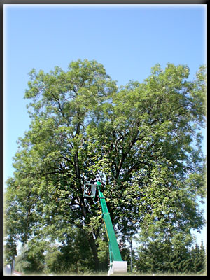 Vergrößertes Bild in neuem Fenster. "klicken"