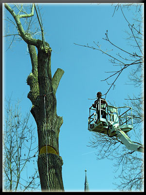 Vergrößertes Bild in neuem Fenster. "klicken"