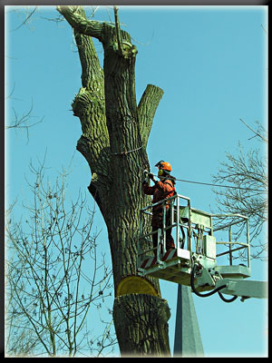Vergrößertes Bild in neuem Fenster. "klicken"