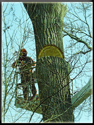Vergrößertes Bild in neuem Fenster. "klicken"