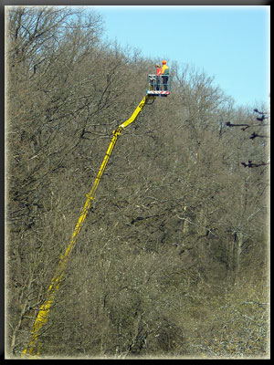 Vergrößertes Bild in neuem Fenster. "klicken"