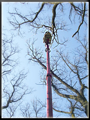 Vergrößertes Bild in neuem Fenster. "klicken"