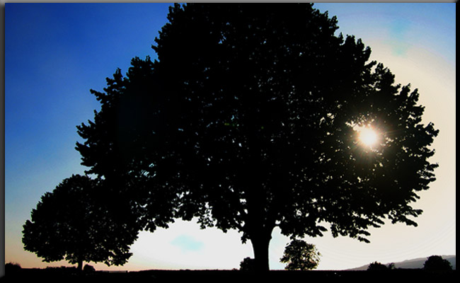 by Gerd Altmann pixelio.de