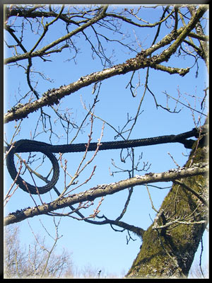 Vergrößertes Bild in neuem Fenster. "klicken"