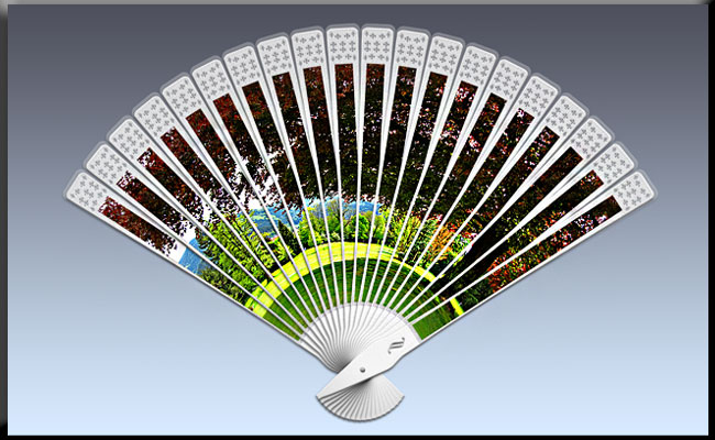 by Rainer Sturm pixelio.de