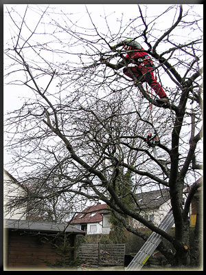 Vergrößertes Bild in neuem Fenster. "klicken"