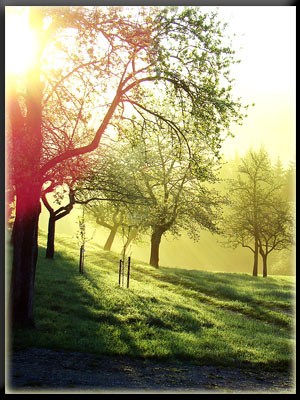 Vergrößertes Bild in neuem Fenster. "klicken" by Daniel Raber_pixelio.de