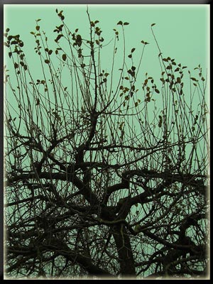 Vergrößertes Bild in neuem Fenster. "klicken"  by_Daniel-Bleyenberg_pixelio.de