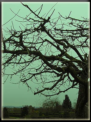 Vergrößertes Bild in neuem Fenster. "klicken" by Daniel Raber_pixelio.de