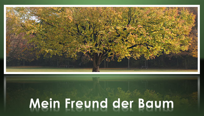 by_Annamartha_pixelio.de