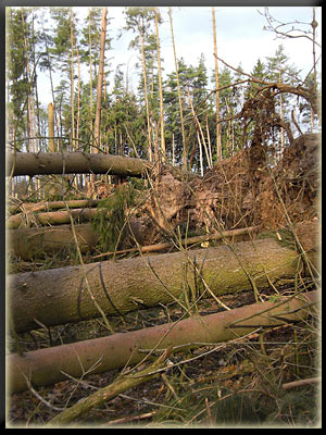 Vergrößertes Bild in neuem Fenster. "klicken"