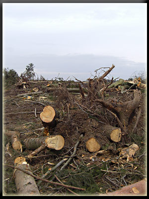 Vergrößertes Bild in neuem Fenster. "klicken"